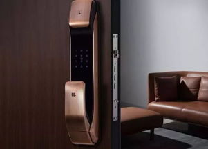 智能门锁简介 智能门锁的技术分哪几种,你清楚吗