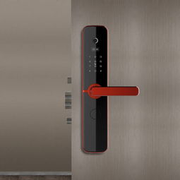 长虹智能门锁b3安全吗