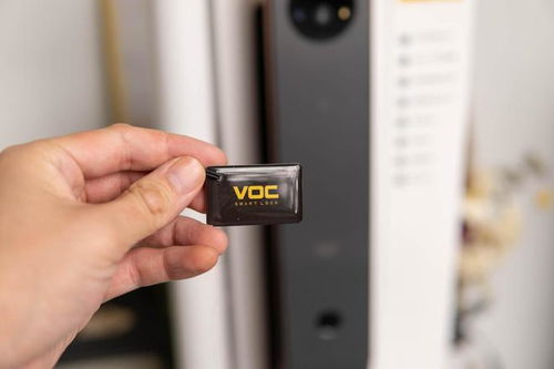 可视门铃与双向对讲 VOC T11C 智能门锁的安全智能化新高度