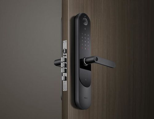 Aqara 全新P100 看得见的安全，AI智能门锁的革新